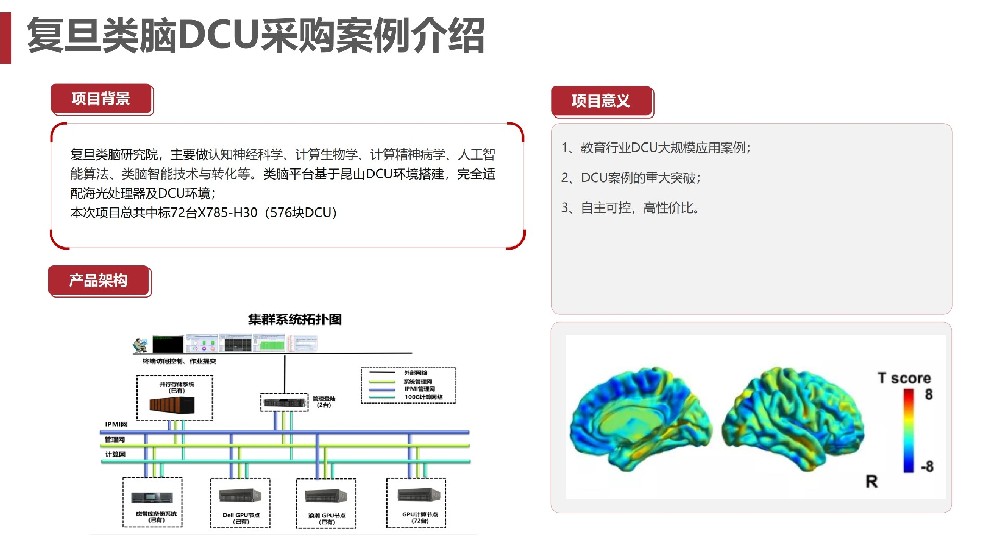 复旦类脑DCU采购案例介绍
